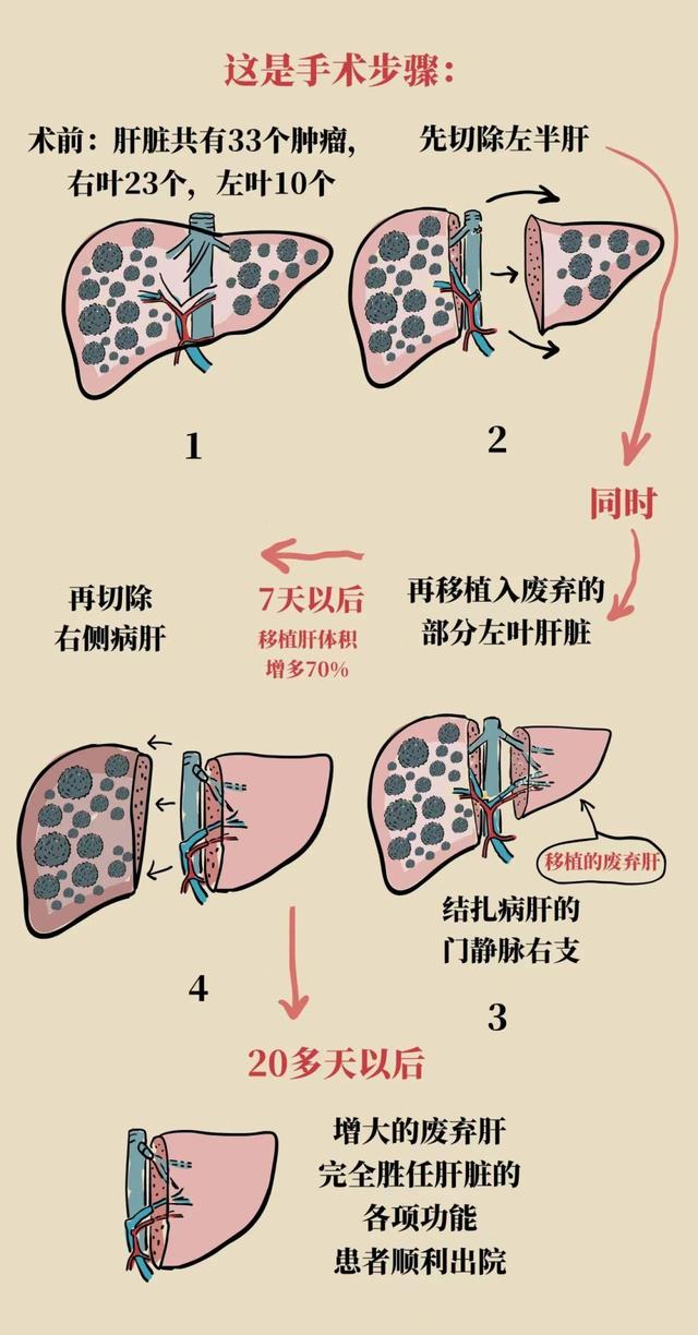 复旦大学客户端复旦大学参观预约入口官网-第1张图片-太平洋在线下载