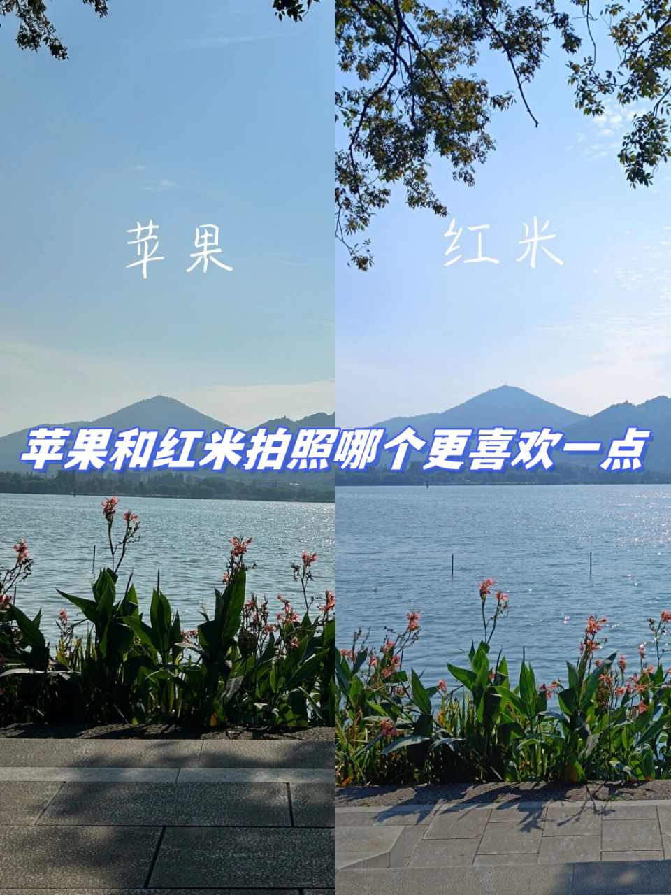 苹果哪版拍照最好苹果哪个系列拍照效果最好