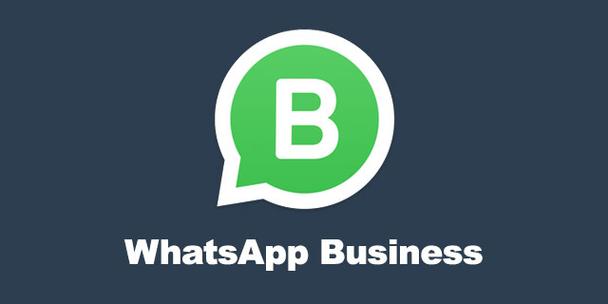 whatapp安卓版downloadwhatsappapk-第2张图片-太平洋在线下载