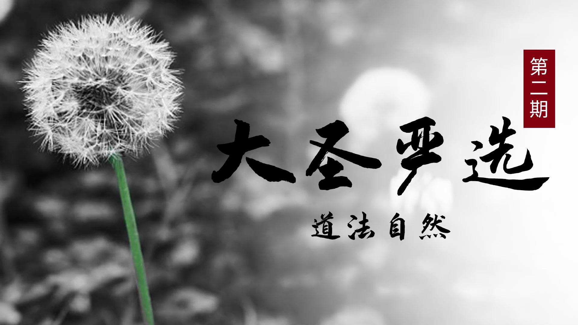 大圣严选苹果版驴友打卡大圣之眼
