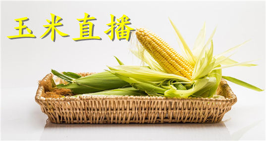 欢心直播苹果版欢心直播平台联系方式-第1张图片-太平洋在线下载